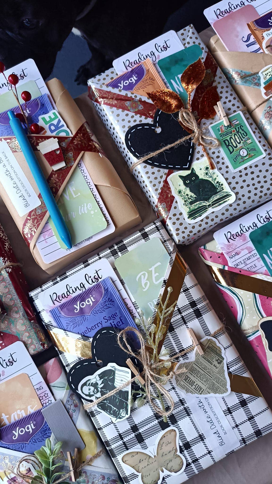 Blind Date with a Book