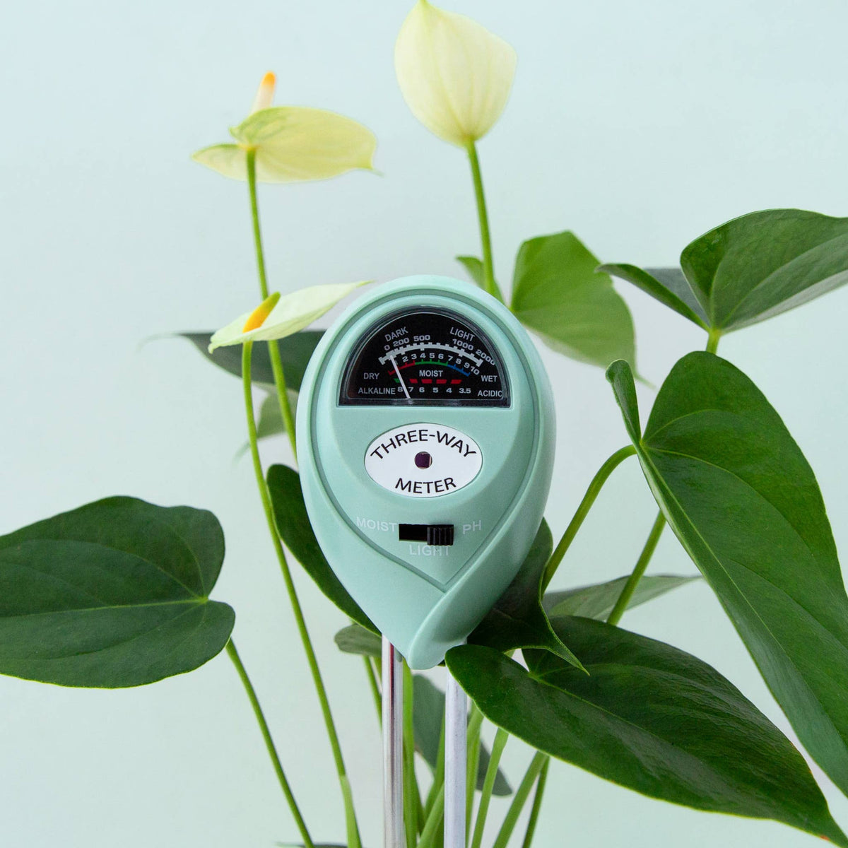 3-in-1 Plant Moisture Meter | Lagoon | Garden Party Box