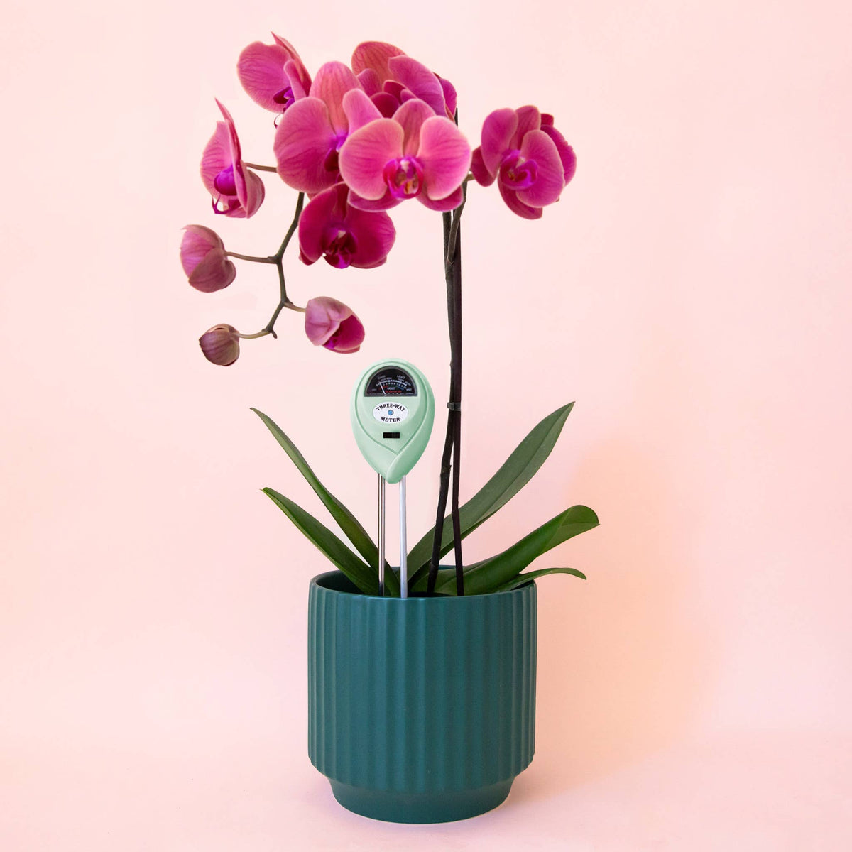 3-in-1 Plant Moisture Meter | Lagoon | Garden Party Box